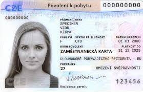vzor zaměstnanecké karty